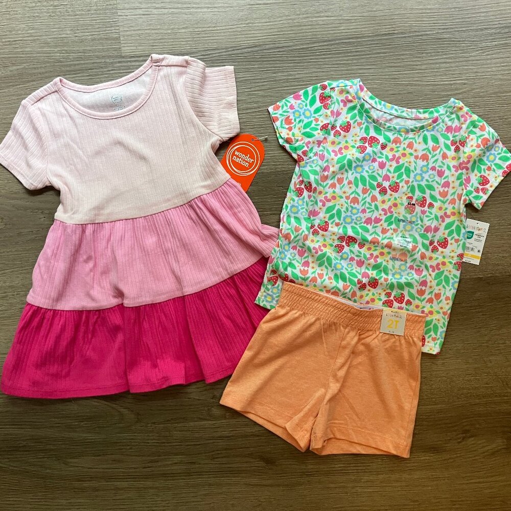 2T Girl Garanimals & Wonder Nation Summer Bundle